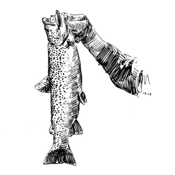 fishing tournaments