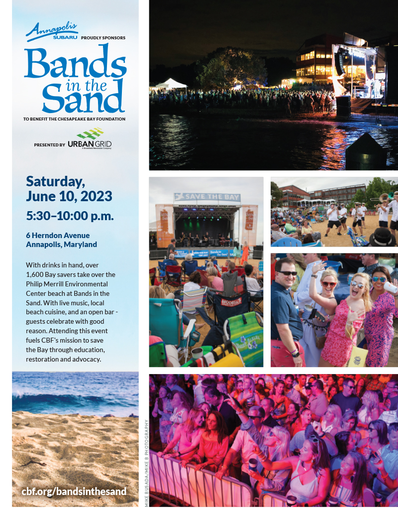 Bands in the Sand 2018