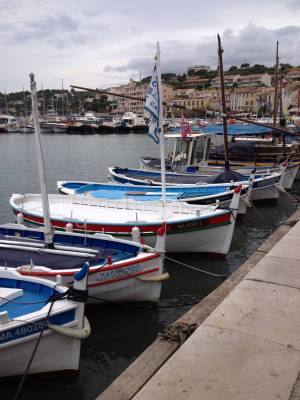 b2ap3_thumbnail_Blog-Cassis-up.jpg b2ap3_thumbnail_Blog-Cassis-up.jpg